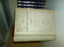 Пинто М. История национальной литературы в Италии. 1869г.
