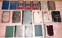 Гоголь, Чехов, А. Толстой, Некрасов, Станюкович, Куприн, И. Тэн, Эмиль Бернар 1880-1912 г. 18 книг.