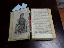 ДОМАШНИЙ ЛЕЧЕБНИК, КОНЕЦ 19 ВЕКА.
