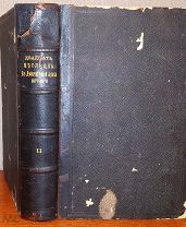 Крестовский Вс. Двадцать месяцев в действующей армии (1877-1878)