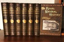 1894 УКРАШЕНИЕ КНИЖНОЙ ПОЛКИ! 72 хромолитографии, 1600 гравюр ЕСТЕСТВЕННАЯ ИСТОРИЯ