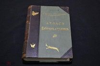 Ламперт К. Атлас бабочек и гусениц Европы и отчасти Русско-Азиатских владений, 1913 г 00