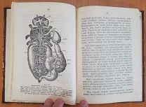Дернов Пчелы и их жизнь 1908 СОСТОЯНИЕ ИЛЛЮСТРАЦИИ