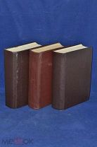 Книги П. П. Гнедич «История искусств (Зодчество, Живопись.» Тома 1-3 1897г (лот № 2107)