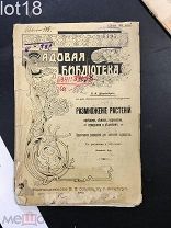 Штейнберг, Размножение растений посевом семян, черенками, отводками и делением. 1912 год