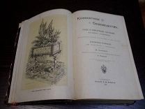 ГЕСДЕРФЕР М. «КОМНАТНОЕ САДОВОДСТВО, УХОД ЗА КОМНАТНЫМИ РАСТЕНИЯМИ» 1898 ГОД.