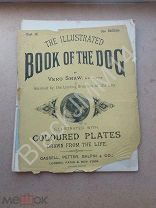 1881 Illustrated Book of the Dog Журнал о собаках Литография Цветная Ирландский терьер