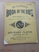 1881 Illustrated Book of the Dog Журнал о собаках Литография Цветная Порода Дирхаунд