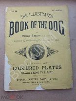 1881 Illustrated Book of the Dog Журнал о собаках Литография Цветная Фоксхаунд