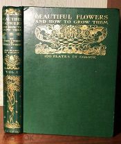1909 Красивые цветы и как их выращивать КРАСОЧНЫЕ ИЛЛЮСТРАЦИИ