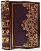 1874 Михневич, В. Петербург весь на ладони. С планом Петербурга, его панорамой с птичьего полета