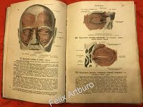 Книга атлас по Анатомии человека Медицине до 1917