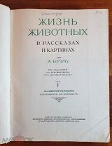 Жизнь животных в рассказах и картинках по А. Брэму 1937 год Том первый млекопитающие