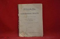 Книга «Лошадь» П. Г. Алтухов 1916 г. (лот 3296) {-7}