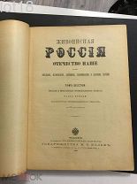 Живописная Россия. Том 6. Часть 2. Московская промышленная область