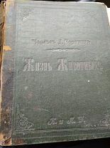 Антикварная книга с иллюстрациями. ЖИЗНЬ ЖИВОТНЫХ изд. КНЕБЕЛЬ. ДО 1917 Г.