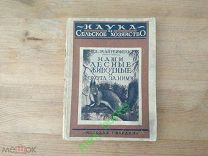 Книга Охота. Мантейфель П.А. Наши лесные животные и охота за ними. 1927 г. Оригинал!