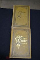 Дон Кихот Ламанчский Мигеля де Сервантеса Сааведра 2 тома 1881г 03