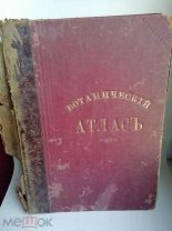 К.Гофман Ботанический атлас по системе Де-Кандоля 1899г.