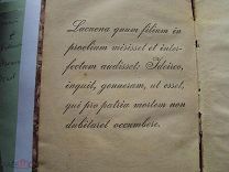 Самоучитель Латинского языка. 1918 год. Петроградъ. Торговое издание Холмушина.