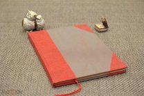 Дракон. 1921. Прижизненные публикации.