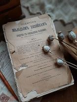 Молоховец Елена. Подарок молодым хозяйкам.1905 год