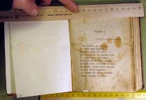 Редкое издание Конек-Горбунок, Ершов, 1868 год, нет титульных листов, 6(из 7) иллюстраций