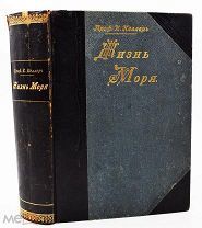 1905 ХРОМОЛИТОГРАФИИ Жизнь моря. Животный и растительный мир моря, его жизнь