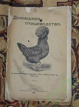 Книга Домашнее птицеводство 1908 г