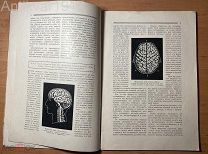 [много иллюстраций!] Сон. 1915 г.