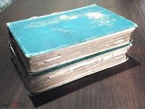 1895 год. Некрасов. Собрание сочинений в 2-х томах. Издатель А. С. Суворин.
