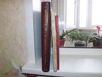 Антикварные Немецкие книги оптом 3 штуки. Смотрите описание. С 1 ого рубля