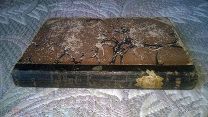 Конволют: Девель. Рассказы о Восточной Сибири / Черняева. Рассказы об Австралии и австралийцах. 1896