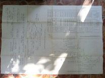 ПЛАКАТ 1898 ГОДА РОМАНОВЫ РОДОСЛОВНАЯ РЮРИКОВИЧЕЙ ВКЛАДКА В КНИГУ ОЧЕНЬ РЕДКАЯ! ОТЛИЧНОЕ СОСТОЯНИЕ!
