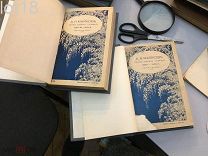 Майков А. Н. Полное собрание сочинений. В 4 тт. Т. 1-4 в 2 книгах 1914 год