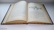 Варпаховский Н.А. Определитель пресноводных рыб Европейской России. с 102 рисунками