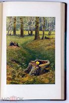 1914 ВАЖНАЯ КНИГА КЛАССИКА НАШЕЙ НАУКИ Тимирязев, К.А. Жизнь растения: Десять общедоступных чтений