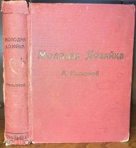 Нельсина А. Молодая хозяйка. Руководство к практической постановке и ведению дома. 1913