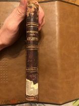 Роман с иллюстрациями «Arlette» Armand Silvestre 1899!