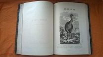 Редкость! Записки Императорского Русского общества акклиматизации 1865 г.
