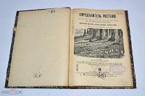 Книга «Определитель растений» Е.Жадовский 1902г (Лот №Н284) 2910-4