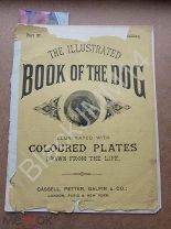 1881 Illustrated Book of the Dog Журнал о собаках Литография Цветная Далматин Бультерьер