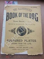 1881 Illustrated Book of the Dog Журнал о собаках Литография Цветная Пойнтер