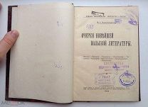 РЕДКАЯ = АНТИКВАРНАЯ КНИГА = ОЧЕРКИ НОВЕЙШЕЙ ПОЛЬСКОЙ ЛИТЕРАТУРЫ = 1904 = В КОЛЛЕКЦИЮ