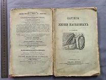 Старинная книга Ганике Картины из жизни животных С рисунками Петербург 1869 г Царская Россия
