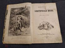 Робида Альбер. Двадцатое столетие. Электрическая жизнь.1894г