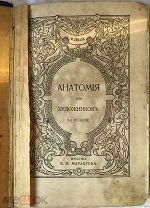 Дюваль Матиас Анатомия для художников 1912 г.