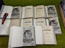 Собрание сочинений Шеллера-Михайлова, 1904 год, 10 старинных книг одним лотом