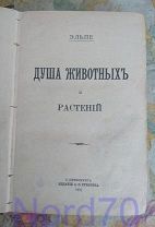 Эльпе Душа животных и растений. 1905