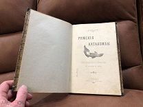 Римские катакомбы 1903, редкость